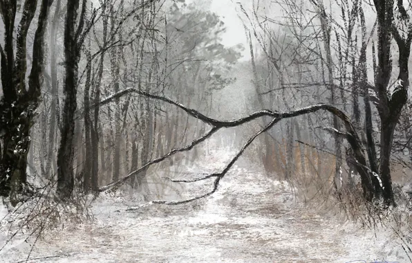 Winter, forest, art, winter