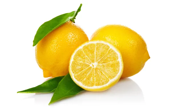 Leaves, close-up, lemon, white background, citrus, fruit