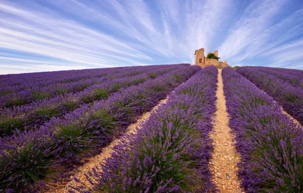 Field, summer, the sky, clouds, flowers, blue, castle, slope