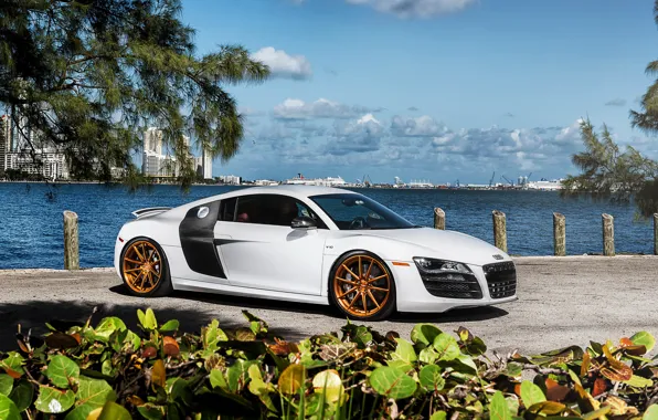 Picture car, Audi, audi r8, rechange, hq Wallpapers