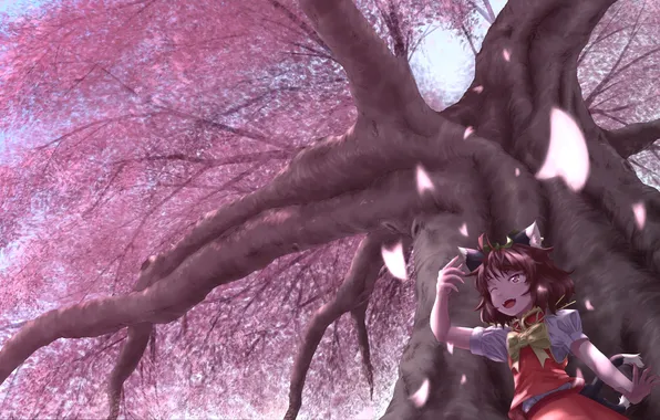 Girl, tree, petals, Sakura, art, touhou, chen, yuyuibob