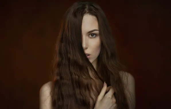 Picture look, girl, face, background, sweetheart, portrait, light, brown hair