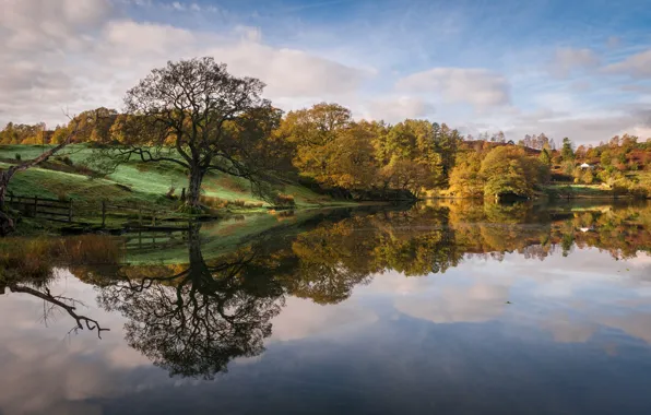 Autumn, trees, lake, England, Cumbria