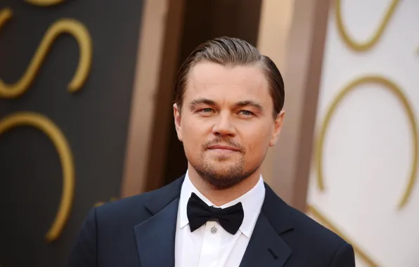 Picture male, actor, Leonardo DiCaprio