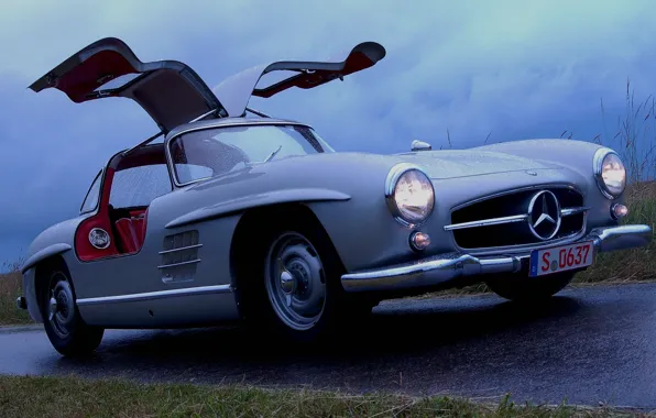 Wet, Mercedes-Benz, door, Mercedes, 300, gull-wing, Gullwing