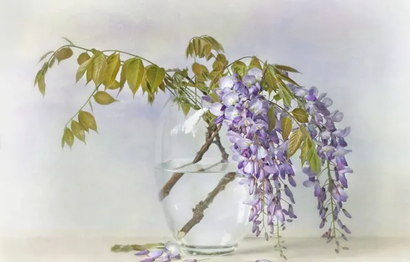 Leaves, water, flowers, branches, bouquet, transparent, petals, art