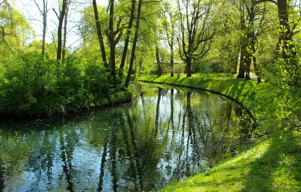 Trees, water, park, pond