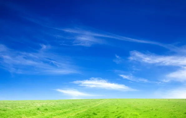 Picture field, the sky, grass, nature, landscapes