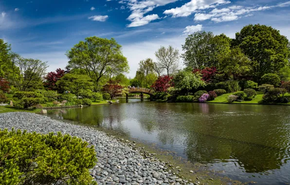 The sky, the sun, clouds, trees, bridge, pond, Park, stones
