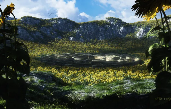The sky, clouds, sunflowers, mountains, birds, people, maze, the siren song of the sunflower