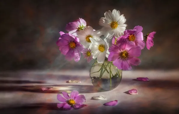 Flowers, bouquet, pink, white, vase, kosmeya, cosmos