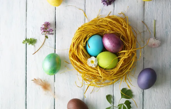Flowers, holiday, eggs, Easter, socket