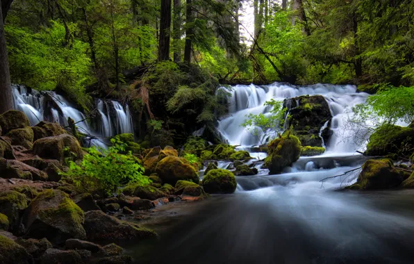 Picture stones, panorama, forest, waterfall