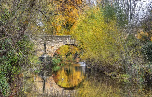 Picture autumn, trees, bridge, Park, arch, Spain, Segovia