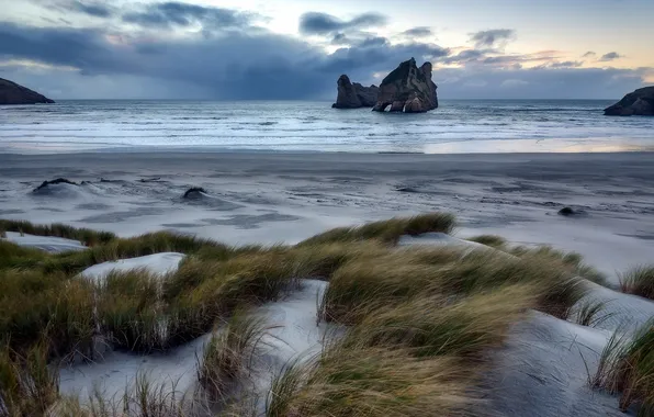 Sea, nature, New Zealand, Wharariki Beach