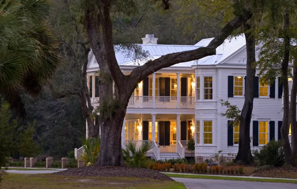Picture road, trees, lights, home, the evening, lights, mansion, the bushes
