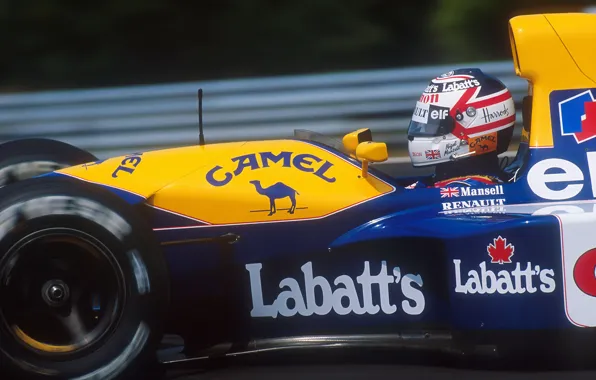 Picture williams, Nigel Mansell, Season 1992, GP Hungarian, FW14B