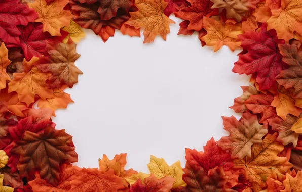 Autumn, leaves, background, colorful, background, autumn, leaves, autumn