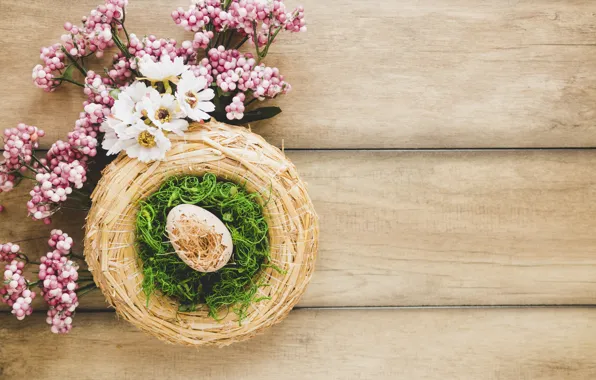 Flowers, Spring, Egg, Easter, Hay, Socket
