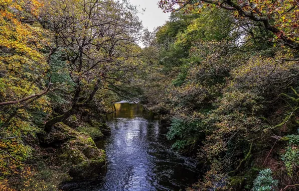 Landscape, nature, river, beauty