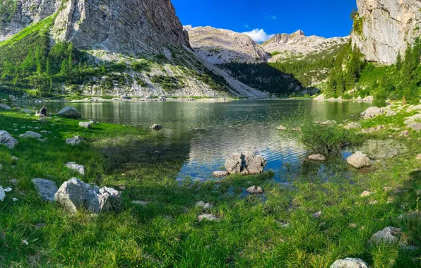 Picture greens, grass, the sun, trees, mountains, lake, stones, rocks