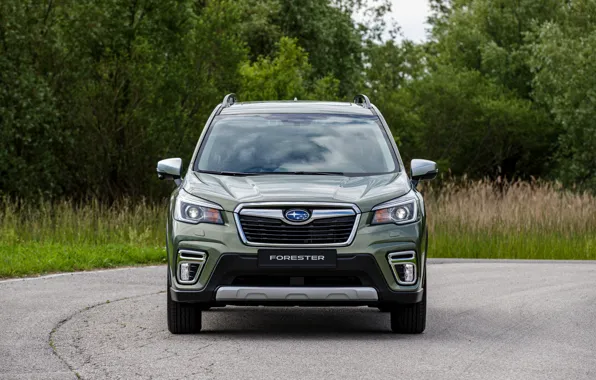 Greens, plants, Subaru, front, crossover, Forester, 2019