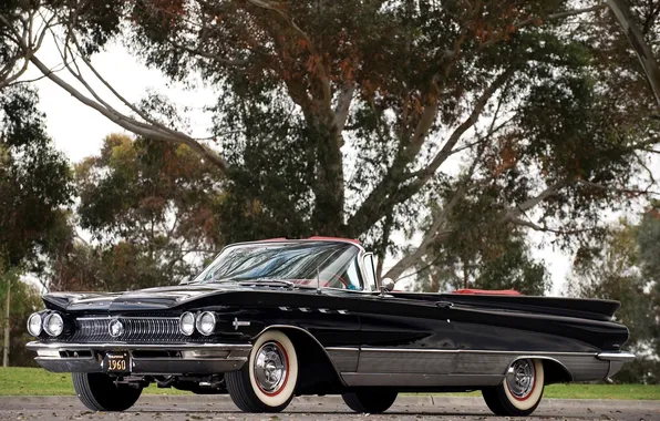 1960, Convertible, Buick, Electra, 225