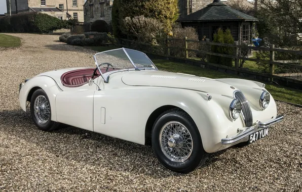 White, Roadster, Jaguar, Jaguar, Roadster, XK120