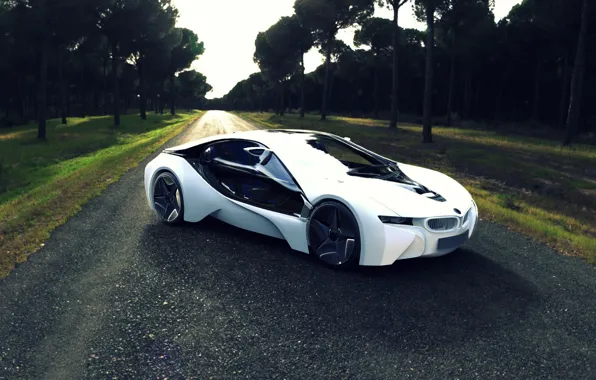 Picture road, grass, trees, BMW i8 concept