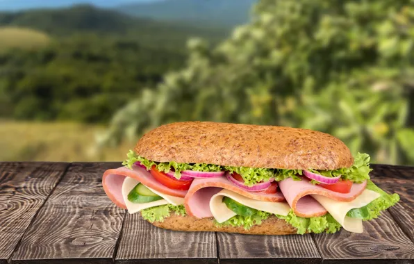 Cheese, bow, sandwich, tomatoes, ham