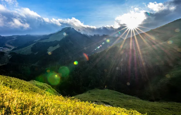 Picture forest, summer, the sun, clouds, rays, light, mountains, glare