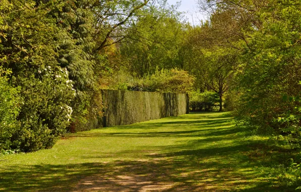 Greens, autumn, trees, the fence, Nature, the bushes, trees, autumn