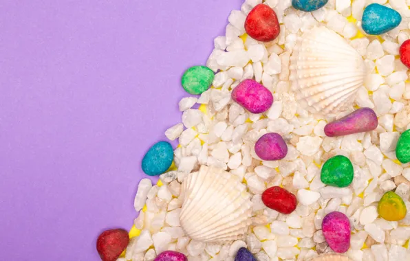Background, lilac, color, texture, shell, colorful, items, the nautical theme