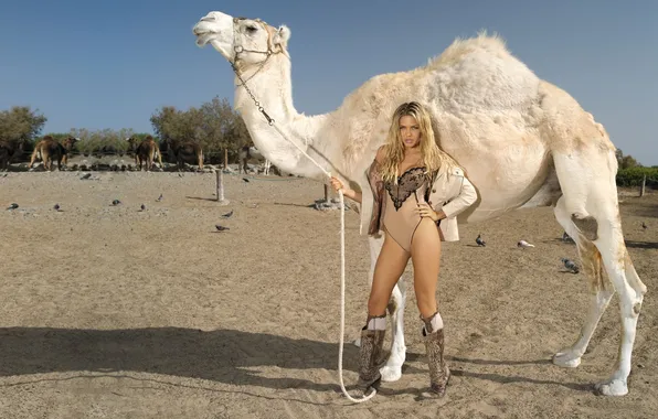 Picture sand, chest, the sky, girl, sexy, model, body, boots