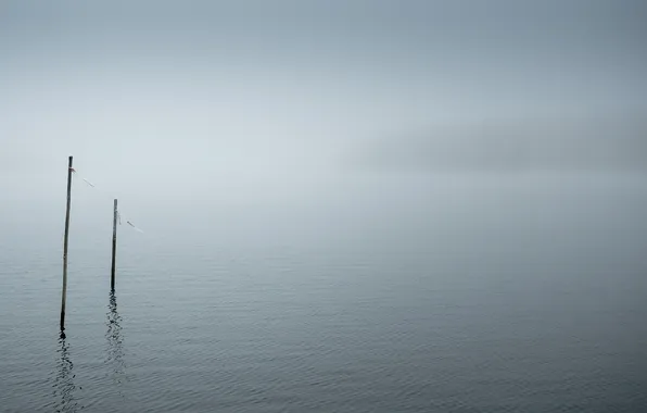 Picture fog, lake, minimalism
