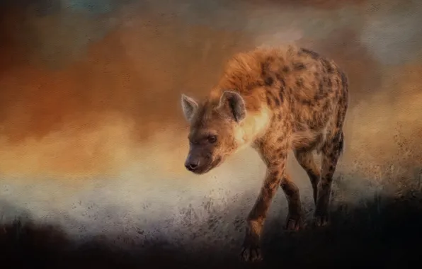 Photo of two Hyenas HD wallpaper | Wallpaper Flare