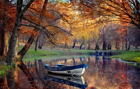 Picture trees, pond, Park, boat