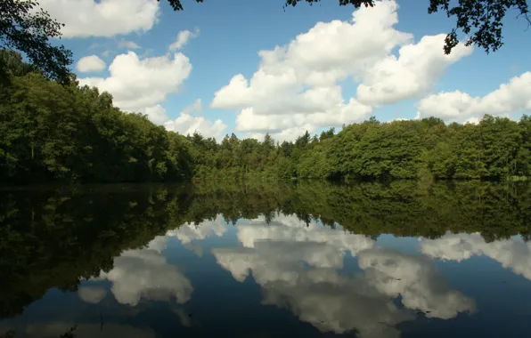 Picture forest, clouds, reflection, lake, Nature, forest, nature, clouds