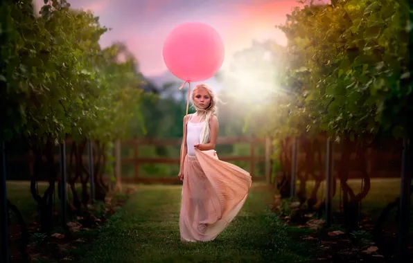 Picture ball, girl, child photography, Vineyard