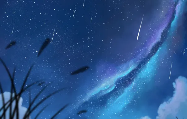 Picture the sky, girl, stars, clouds, night, anime, art, pair