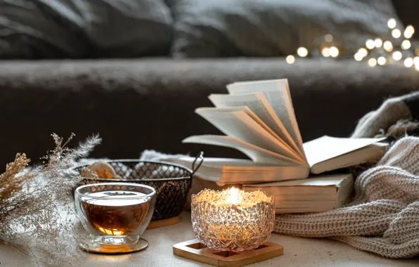 Picture sofa, tea, candles, Cup, book