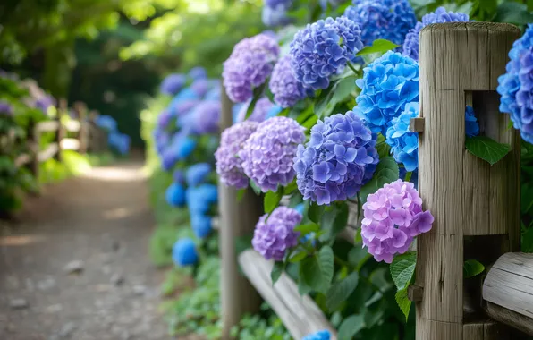 Flowers, Park, the fence, garden, lilac, hydrangea, AI art, neural network