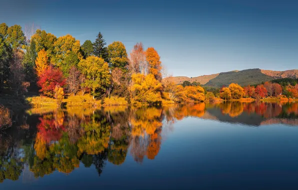 Autumn, forest, trees, lake, reflection, New Zealand, New Zealand, Lake Tutira