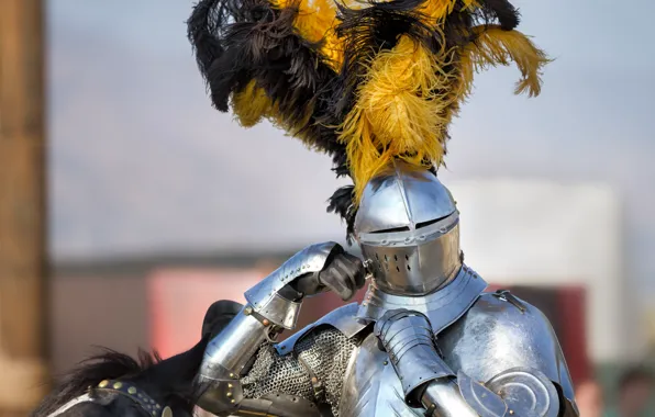 Metal, armor, feathers, helmet, knight