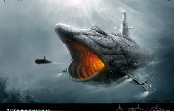 Picture submarine, 2D Work, cetorhinus