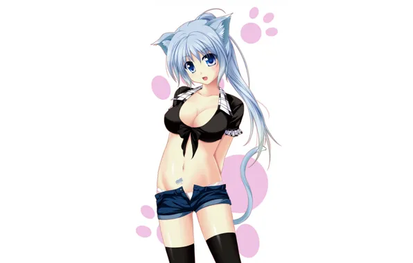 Picture girl, sexy, cleavage, shorts, thighhighs, long hair, boobs, anime