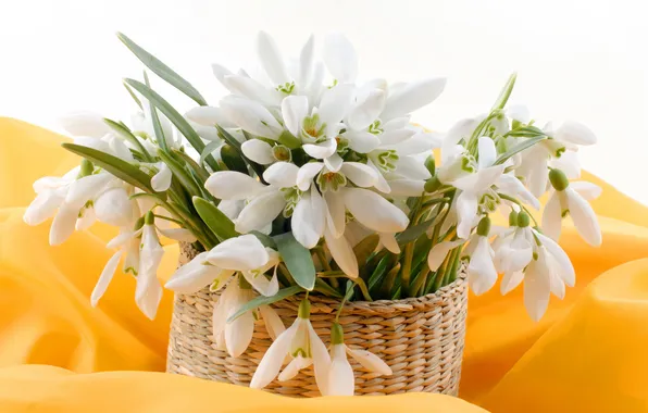 Picture background, snowdrops, fabric, basket