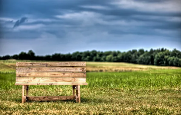 Picture field, the sky, grass, clouds, trees, bench