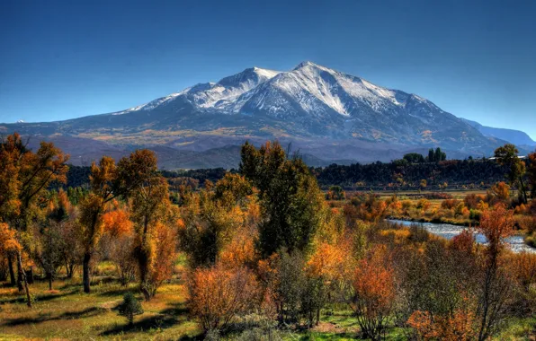 Autumn, trees, mountain