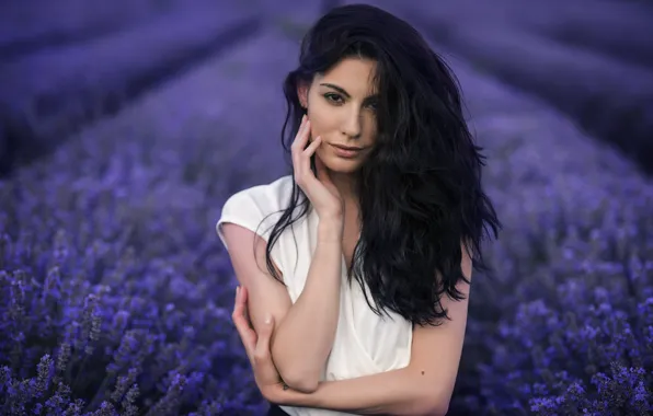 Picture field, look, girl, nature, brunette, lavender, Ivan Georgiev